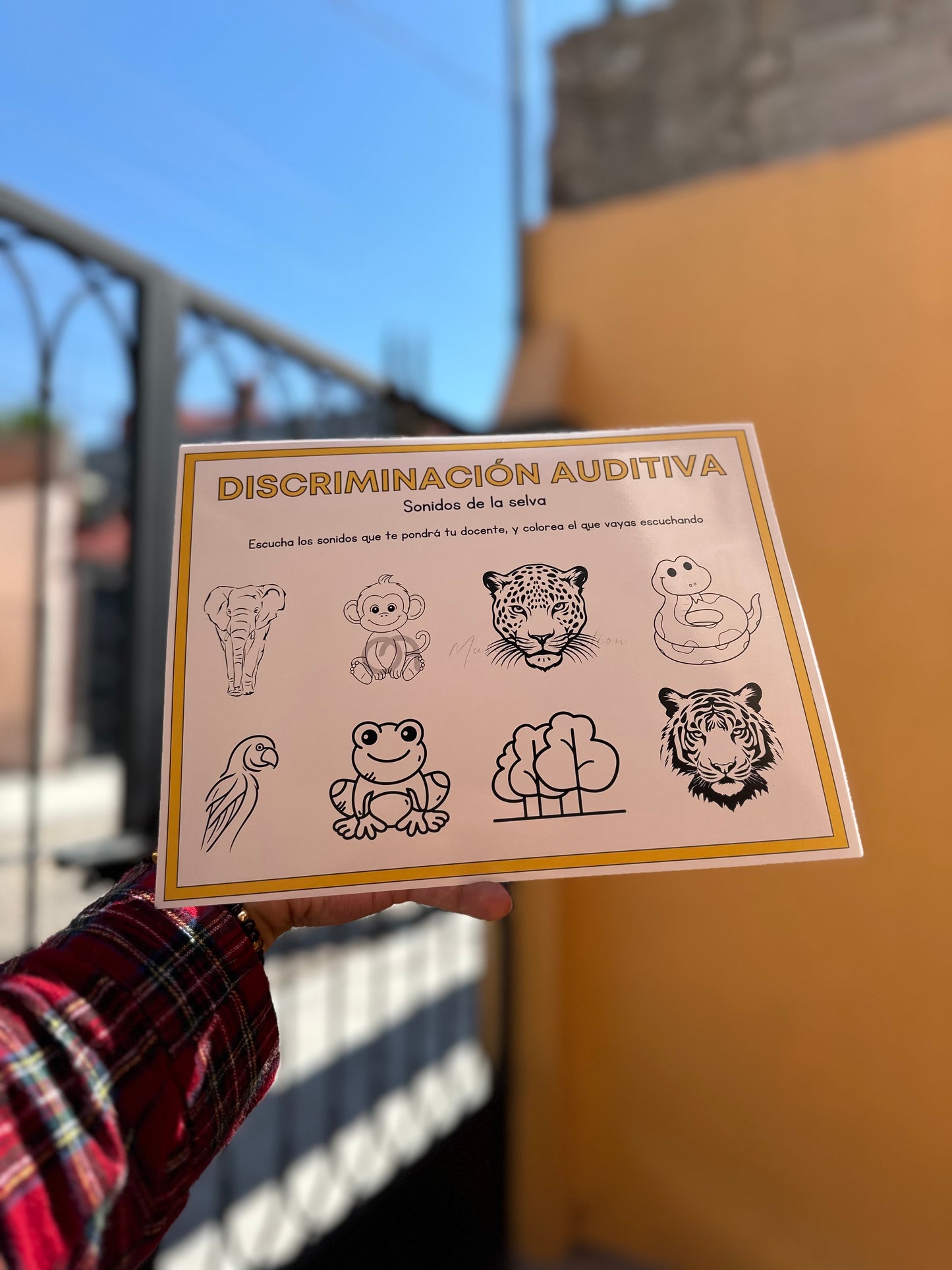 Kit completo para docentes de alumnos NIÑOS (Imprimible)